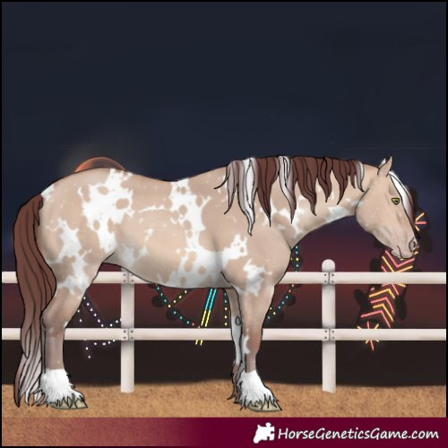 Horse Color:White Spotted Chocolate Amber Champagne Dun