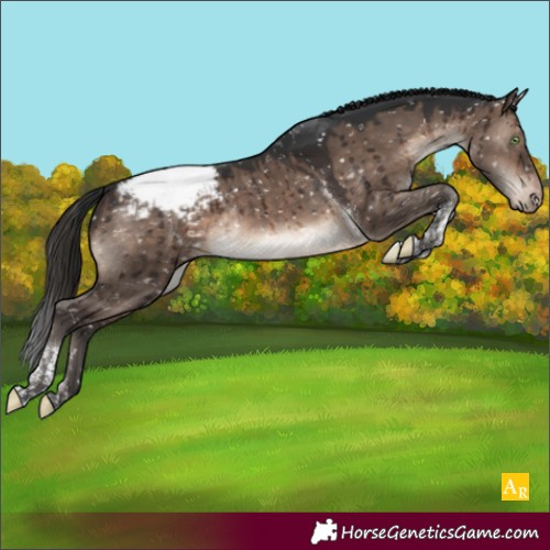Horse Color:Brown Dun Mushroom Tobiano Snowcap Rabicano Brindle 