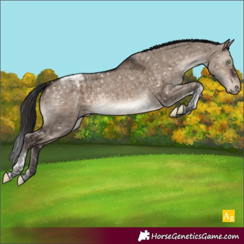 Horse Color:Brown Dun Mushroom Tobiano Appaloosa Rabicano Brindle