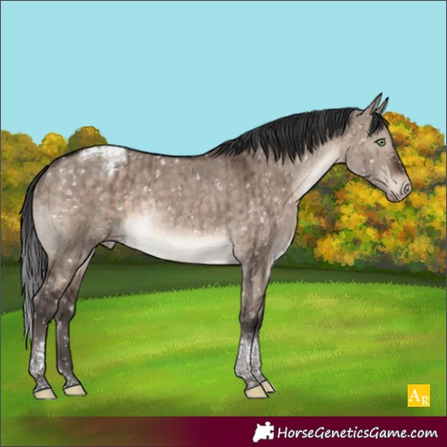Horse Color:Brown Dun Mushroom Tobiano Appaloosa Rabicano Brindle 