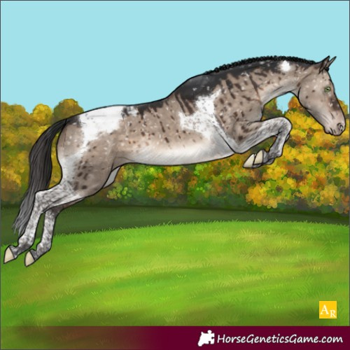 Horse Color:Brown Dun Mushroom Tobiano Snowcap Brindle