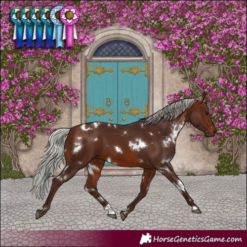 Horse Color:White Spotted Silver Brown 