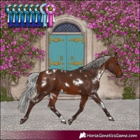 Horse Color:White Spotted Silver Brown
