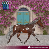 Horse Color:White Spotted Silver Brown 