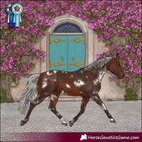 Horse Color:White Spotted Silver Brown