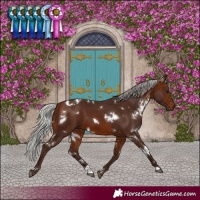 Horse Color:White Spotted Silver Brown 