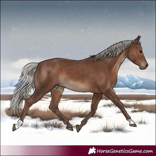Horse Color:Silver Black