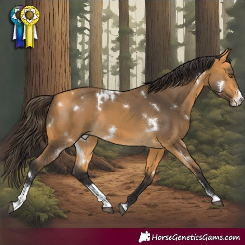 Horse Color:White Spotted Buckskin Sabino Rabicano 