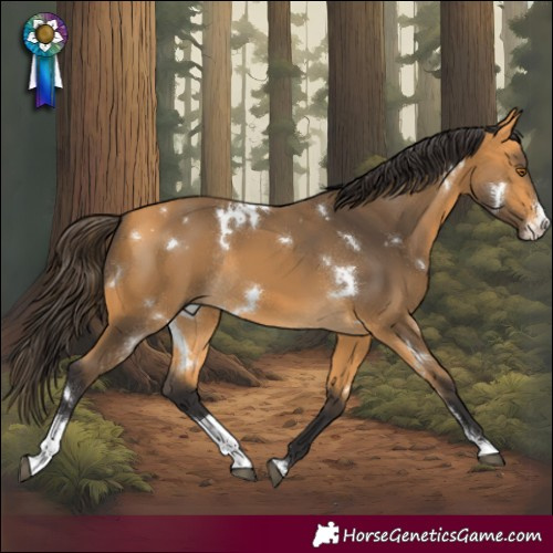 Horse Color:White Spotted Buckskin Sabino Rabicano 
