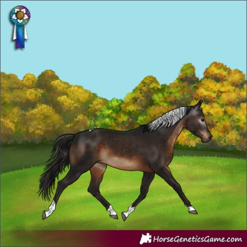 Horse Color:Gray Bay Tobiano 