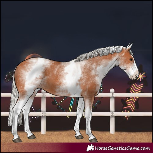 Horse Color:White Spotted Silver Bay Splash Varnish 