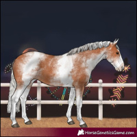 Horse Color:White Spotted Silver Bay Splash Varnish 