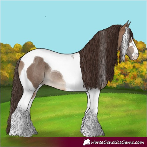 Horse Color:Brown Dun Tobiano Appaloosa Rabicano 