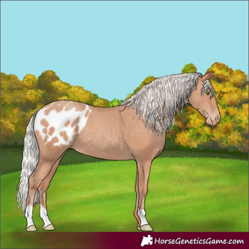 Horse Color:Silver Classic Champagne Varnish