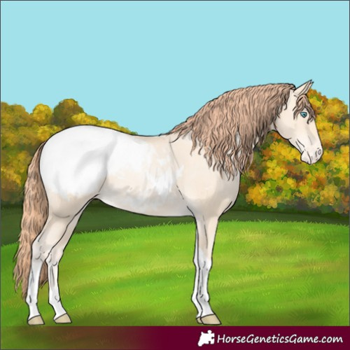 Horse Color:Sable Cream Champagne Pearl Tobiano Appaloosa 