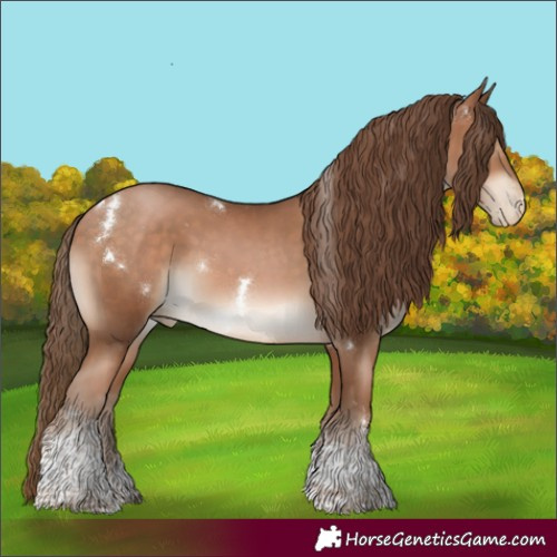 Horse Color:White Spotted Brown Pearl Tobiano Rabicano 