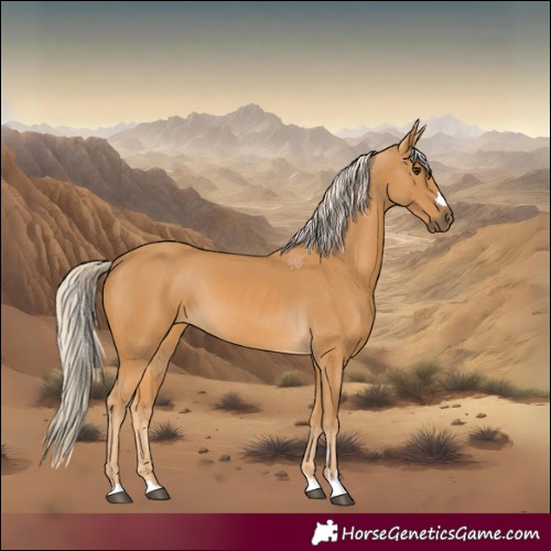 Horse Color:Palomino