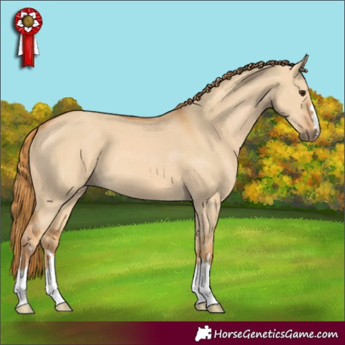 Horse Color:Red Dun