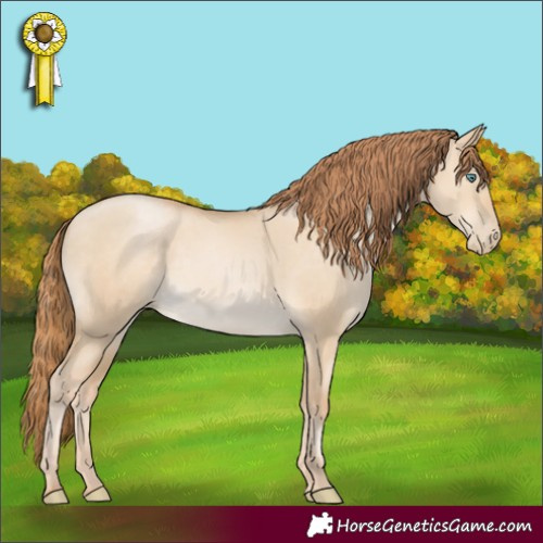 Horse Color:Smoky Grullo Pearl Rabicano