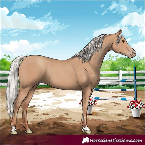 Horse Color:Silver Classic Champagne 