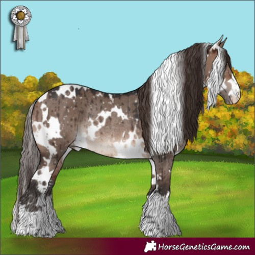 Horse Color:White Spotted Brown Dun Mushroom Appaloosa Rabicano Brindle