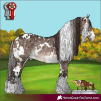 Horse Color:White Spotted Brown Dun Mushroom Appaloosa Rabicano Brindle 