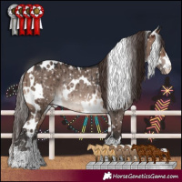 Horse Color:White Spotted Brown Dun Mushroom Snowflake Varnish Rabicano Brindle 