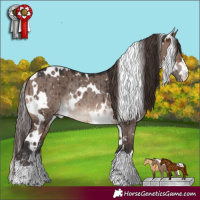 Horse Color:White Spotted Brown Dun Mushroom Appaloosa Rabicano Brindle