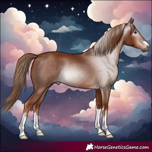 Horse Color:Gray Chestnut