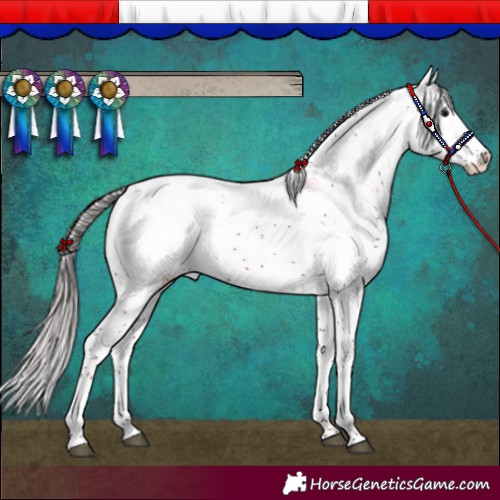 Horse Color:Silver Brown Sabino Appaloosa Rabicano 