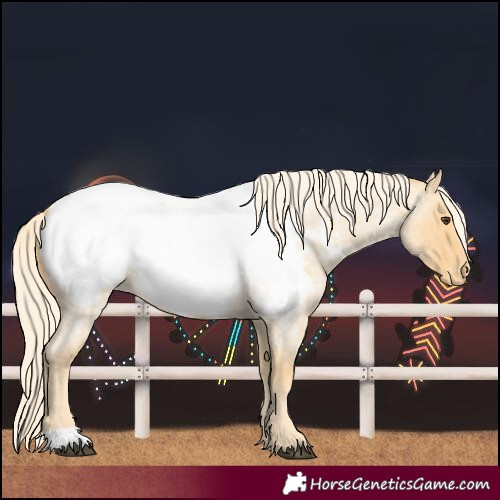 Horse Color:Palomino Roan Snowcap 