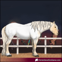 Horse Color:Palomino Roan Snowcap 