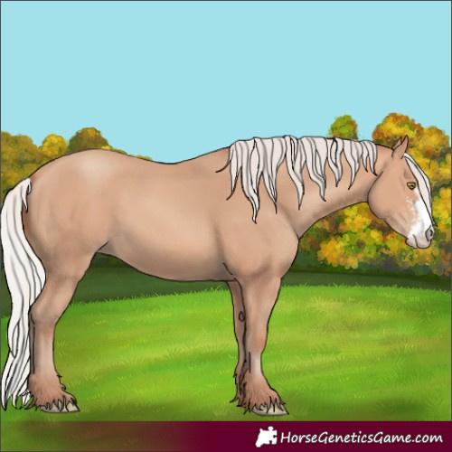 Horse Color:Silver Amber Champagne Sabino 