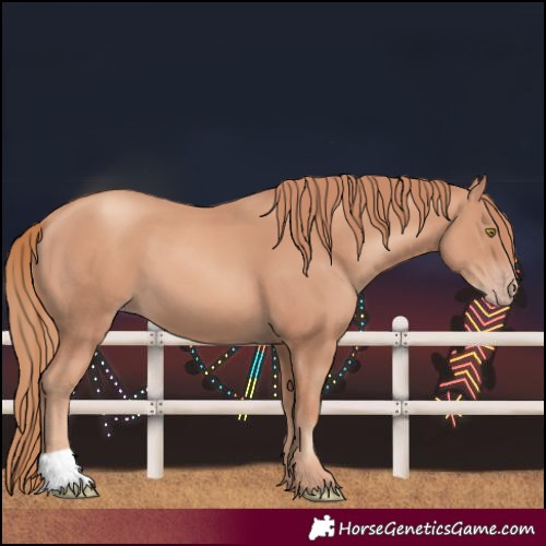 Horse Color:Gold Champagne