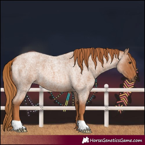 Horse Color:Red Roan