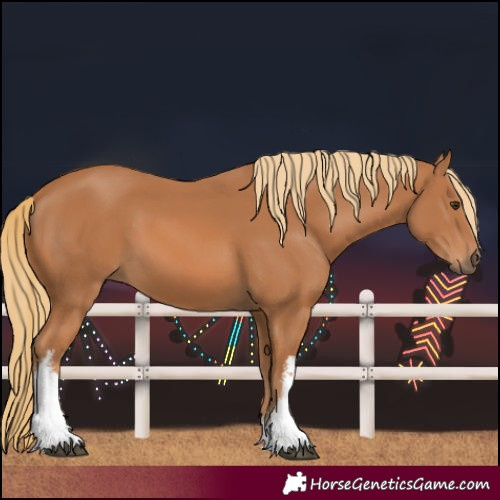 Horse Color:White Spotted Chestnut