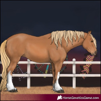 Horse Color:White Spotted Chestnut 