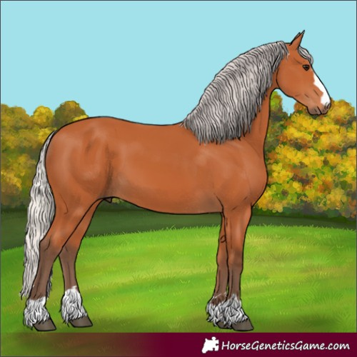 Horse Color:Silver Bay 