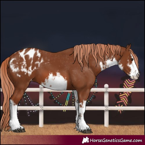 Horse Color:White Spotted Chestnut Varnish
