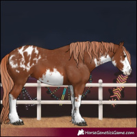 Horse Color:White Spotted Chestnut Varnish