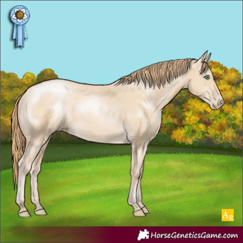Horse Color:Smoky Black Pearl Sabino 