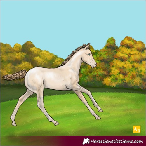 Horse Color:Smoky Black Pearl Sabino 