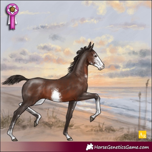 Horse Color:Liver Chestnut Sabino 