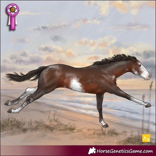 Horse Color:Liver Chestnut Sabino 