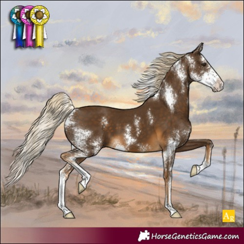 Horse Color:Chocolate Palomino Sabino