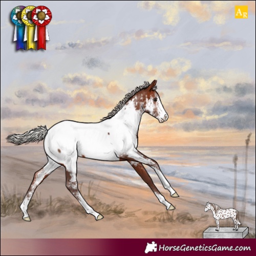 Horse Color:Silver Brown Sabino Appaloosa 