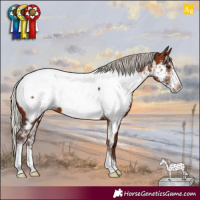 Horse Color:Silver Brown Sabino Near Fewspot