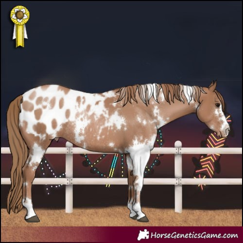Horse Color:White Spotted Black Pearl Blanket Rabicano 
