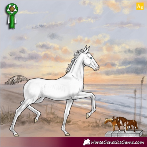 Horse Color:Perlino Sabino 