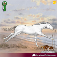 Horse Color:Perlino Sabino 